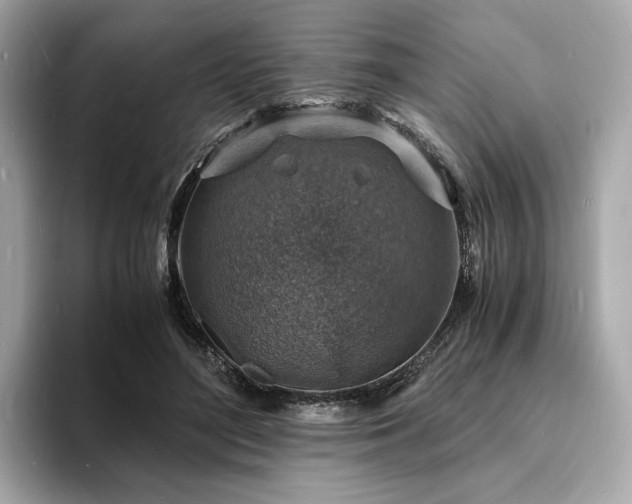 X0000093730500200710161119