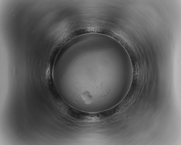 X0000093730502200710161119