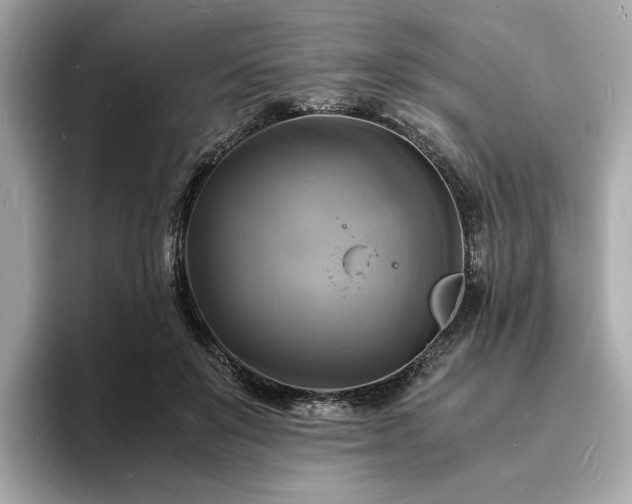 X0000093730503200710161119