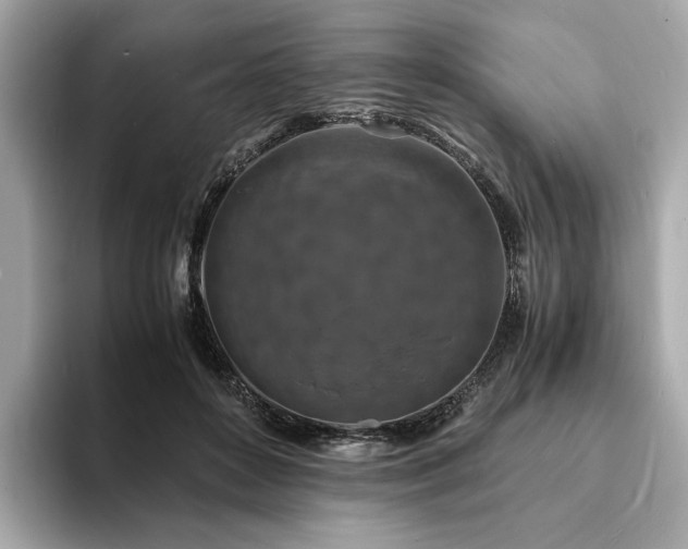 X0000093730504200710161119