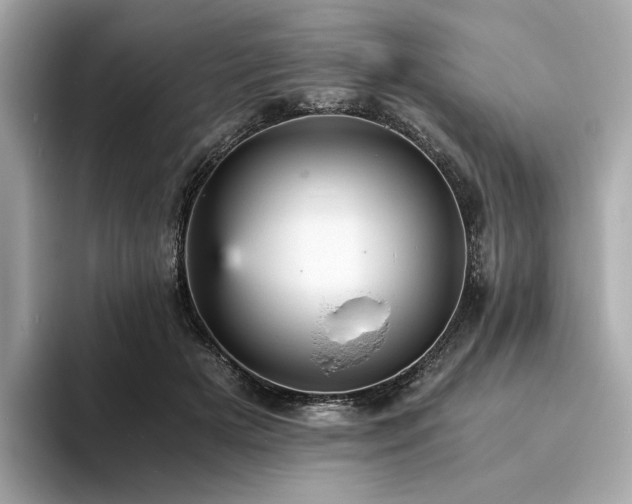 X0000093730505200710161119