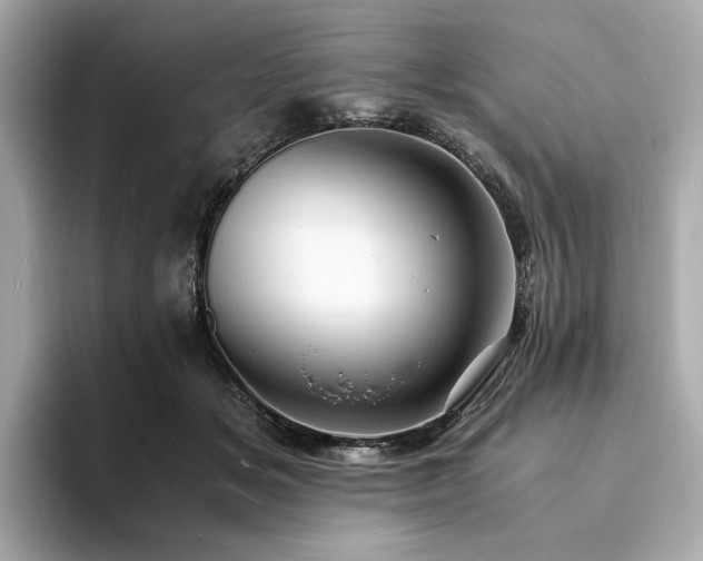 X0000093730509200710161119