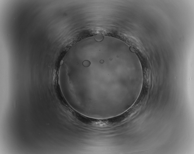 X0000093730511200710161119