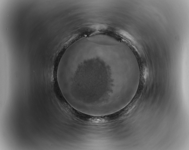 X0000093730512200710161119