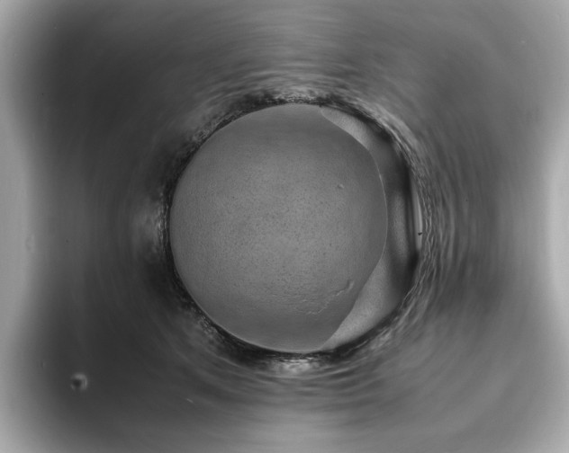 X0000093730513200710161119
