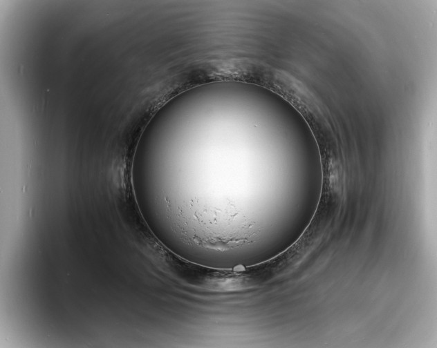 X0000093730514200710161119