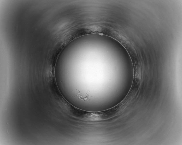 X0000093730518200710161119