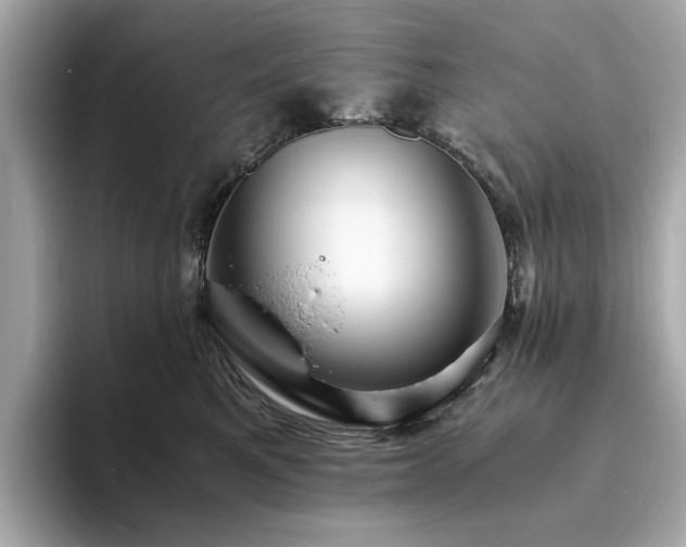 X0000093730521200710161119