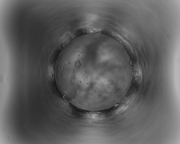 X0000093730523200710161119