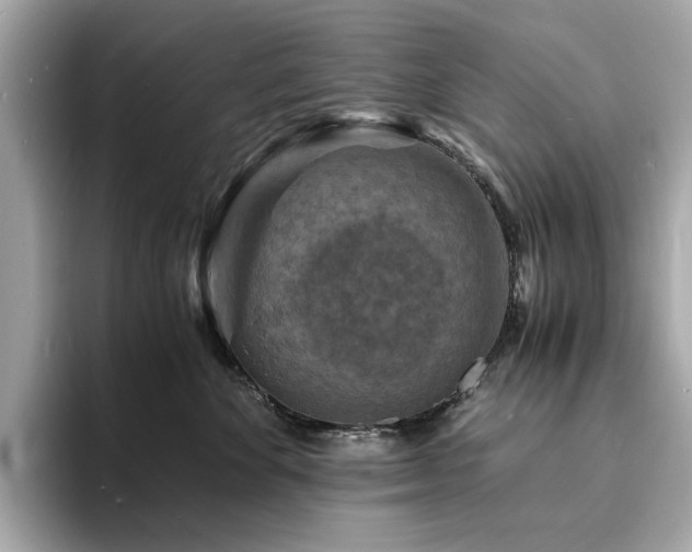 X0000093730524200710161119