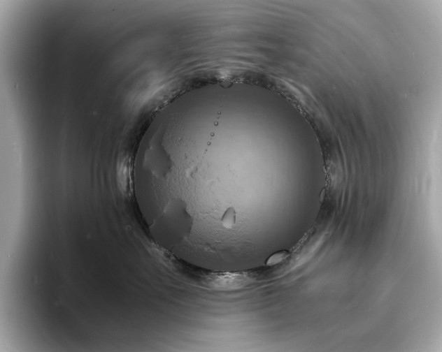 X0000093730527200710161119