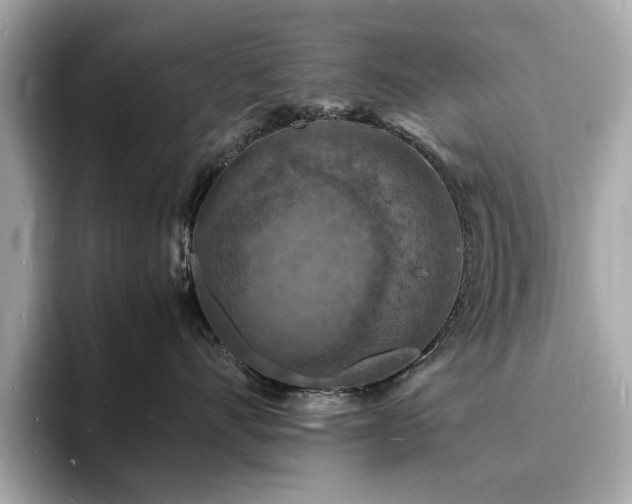 X0000093730528200710161119