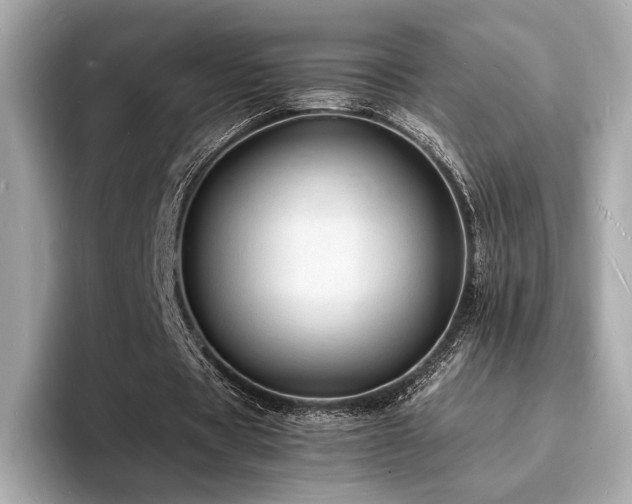 X0000093730529200710161118