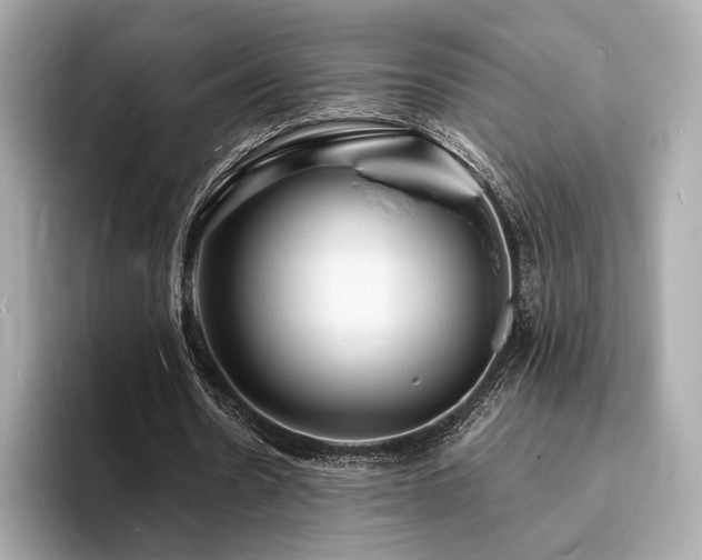 X0000093730530200710161118