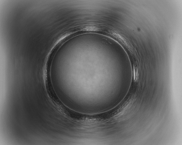 X0000093730531200710161118