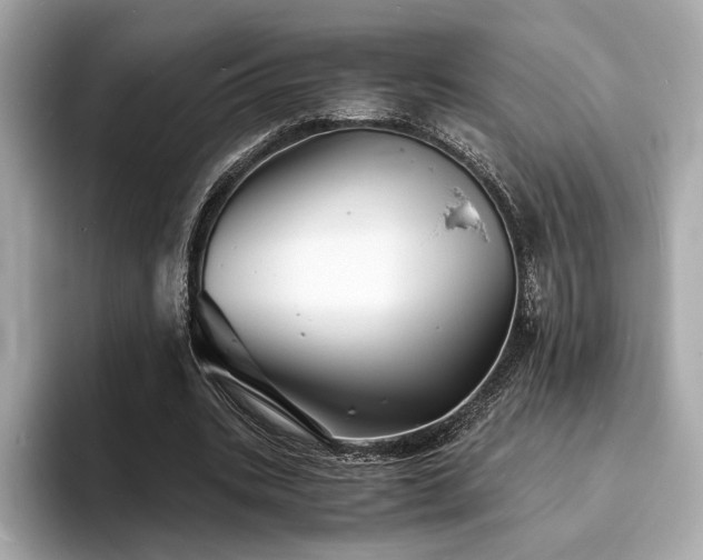 X0000093730535200710161118
