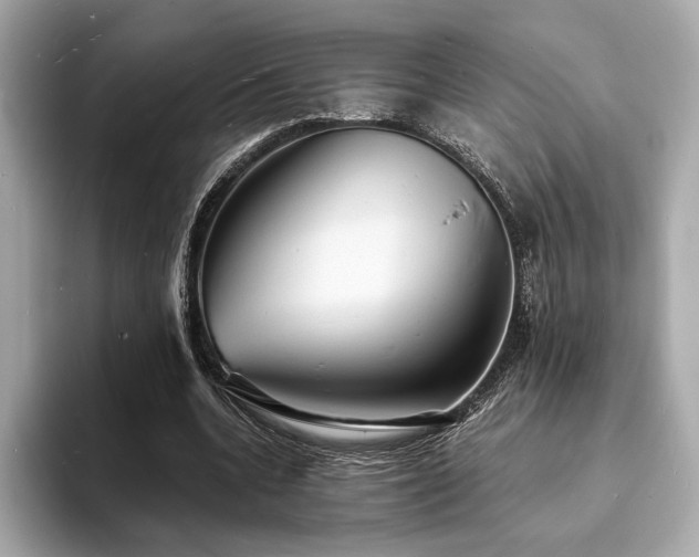 X0000093730536200710161118
