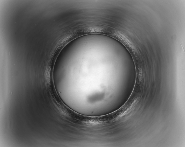 X0000093730537200710161118