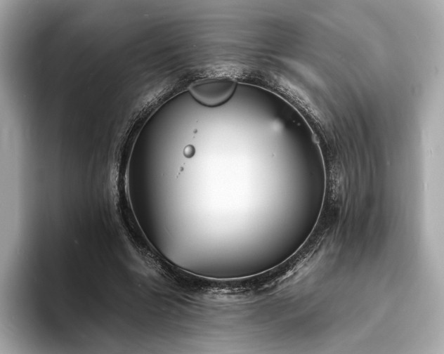 X0000093730538200710161118