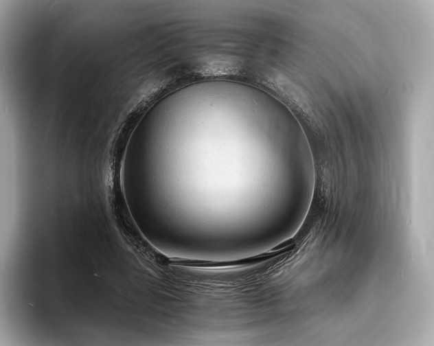 X0000093730539200710161118