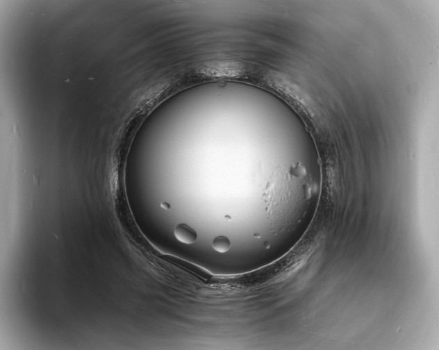 X0000093730541200710161118