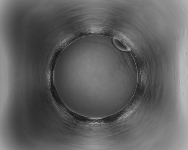 X0000093730542200710161118