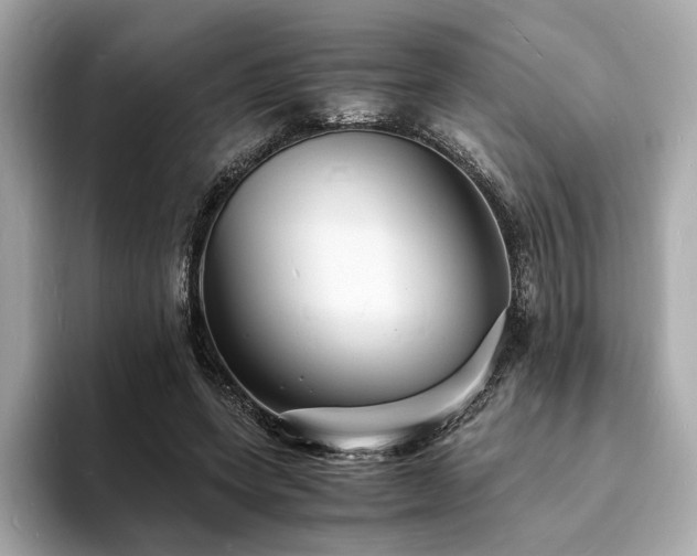 X0000093730543200710161118