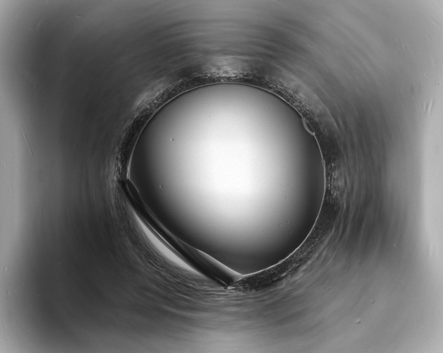 X0000093730544200710161119