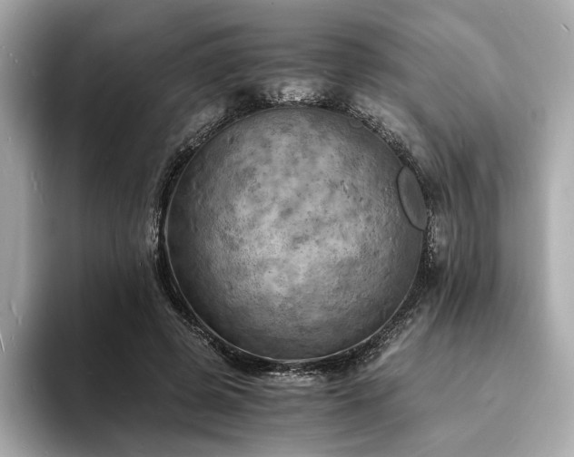 X0000093730545200710161119