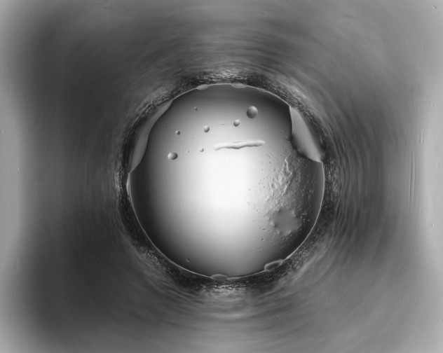 X0000093730546200710161119