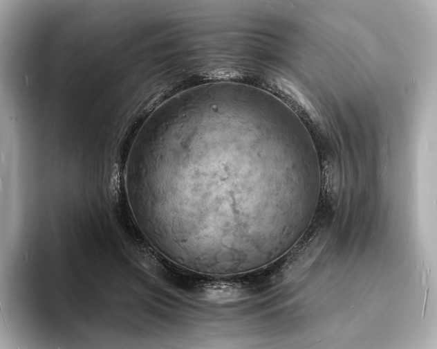 X0000093730549200710161119