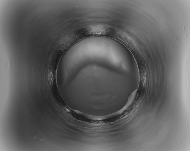 X0000093730551200710161119