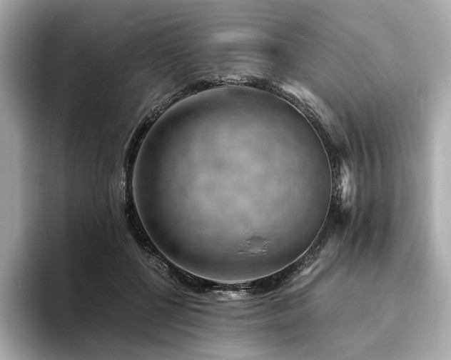 X0000093730552200710161119