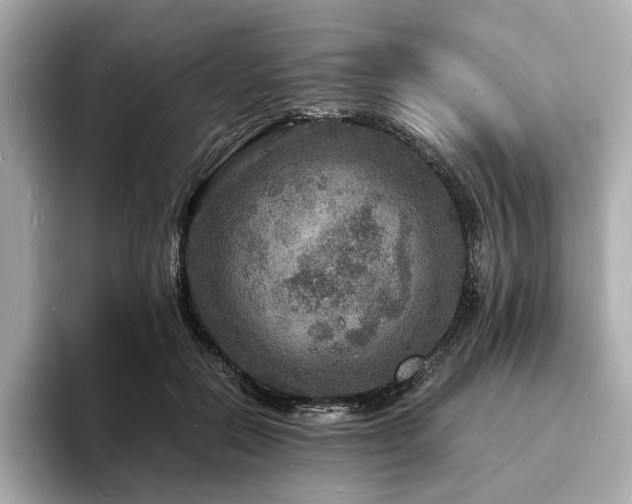 X0000093730554200710161119