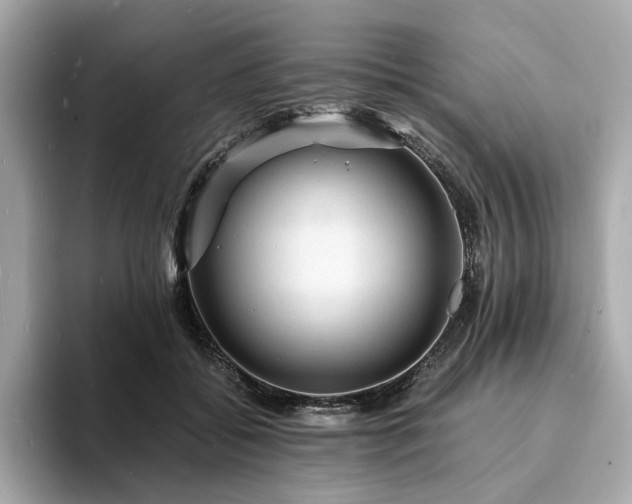 X0000093730556200710161119