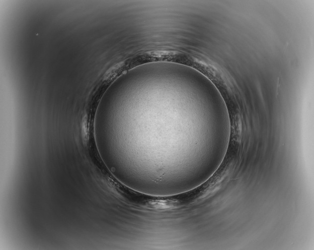 X0000093730558200710161119