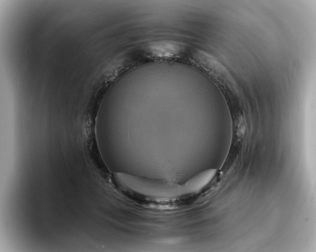 X0000093730559200710161119