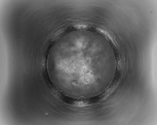 X0000093730561200710161119