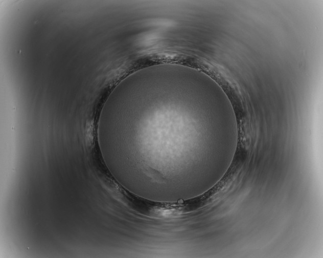 X0000093730563200710161119