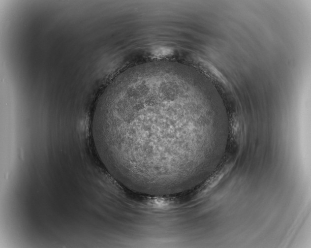X0000093730565200710161119