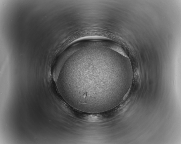 X0000093730566200710161119