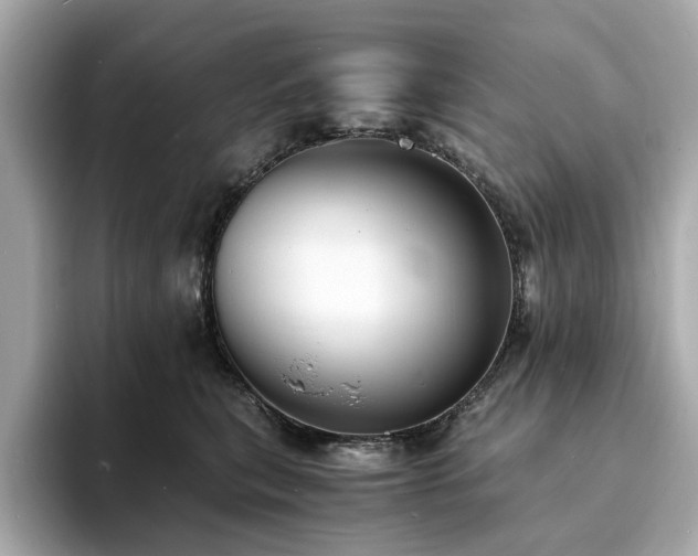 X0000093730567200710161119