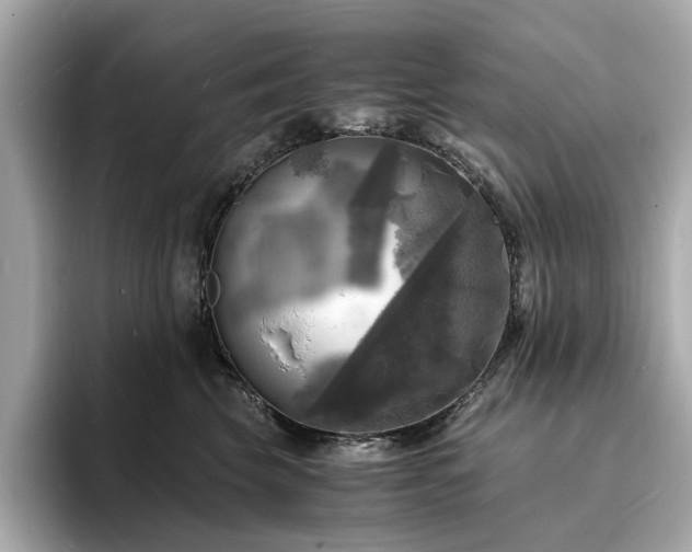 X0000093730569200710161119