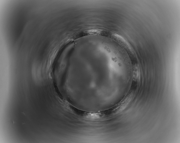 X0000093730573200710161119
