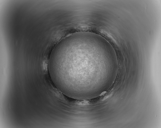 X0000093730576200710161119
