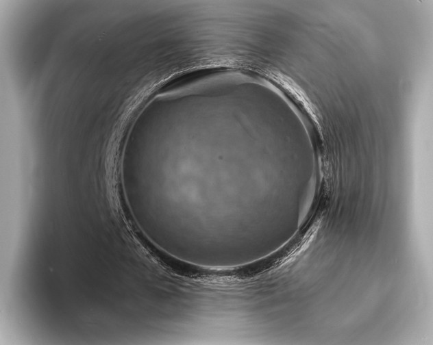 X0000093730577200710161118