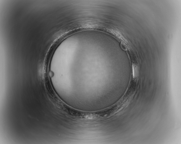 X0000093730579200710161118