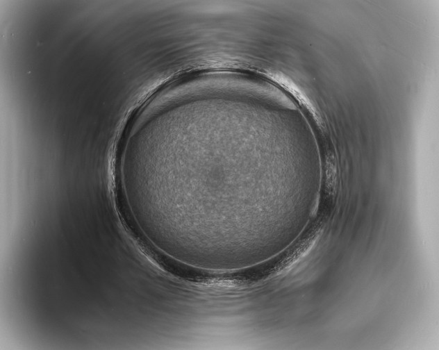 X0000093730581200710161118