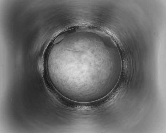 X0000093730582200710161118