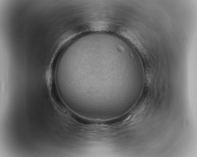 X0000093730583200710161118